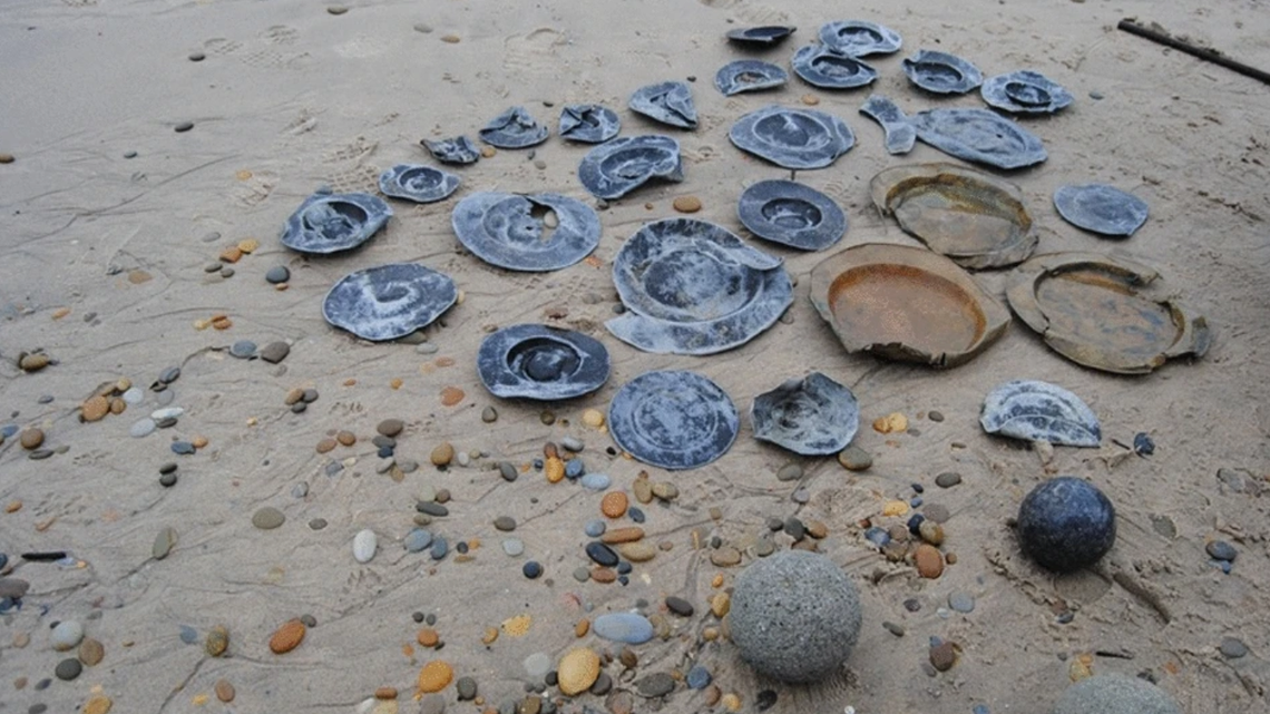 A 16th century shipwreck off the coast of Portugal was revealed to have held valuable cargo, according to a new study.