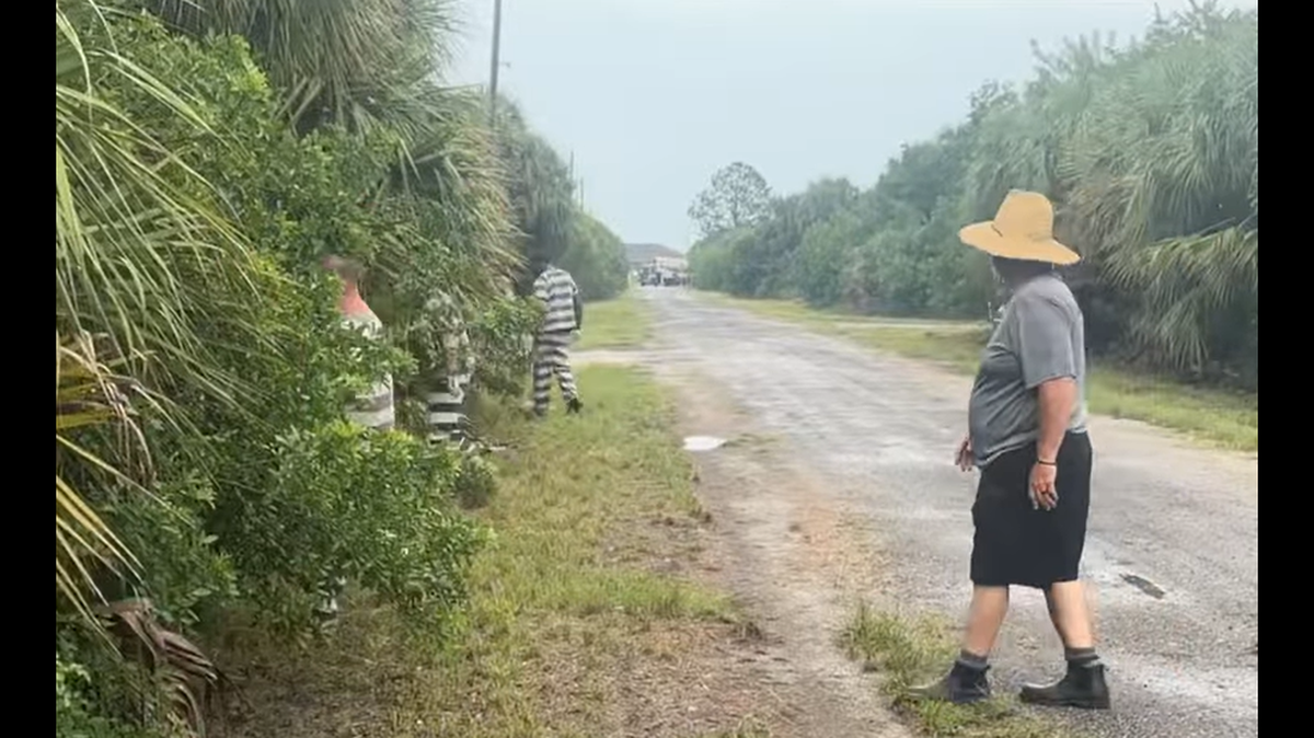 A group of inmates helped wildlife volunteers track down a raccoon wandering around the Florida woods with a jar on its head.