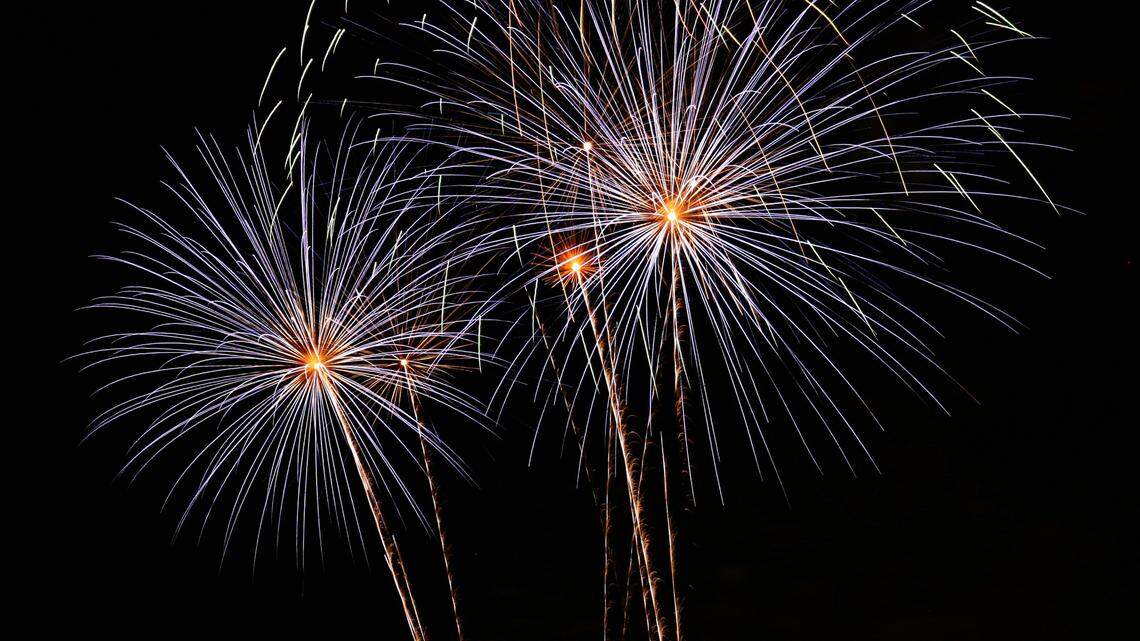 A 56-year-old woman was killed by a stay bullet while watching fireworks from her home in Florida, police said.