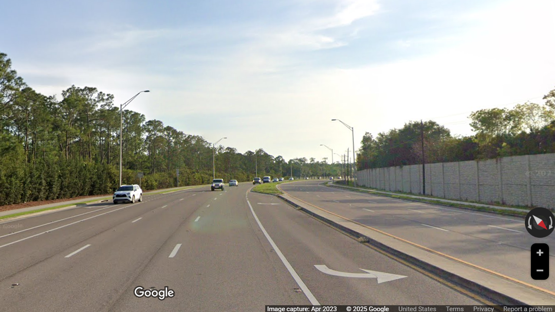 Two juvenile Florida panthers were killed on a wide road in Naples near two residential subdivisions.