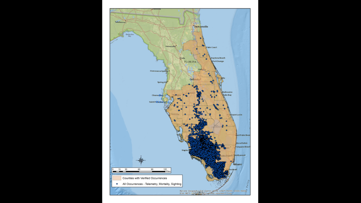 Pasco County, just north of Tampa, is not included in the Florida panther’s documented historic range, according to the FWC.
