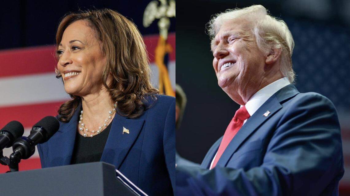 A significant share of voters say they are “voting against” a candidate for president, rather than voting for one , according to a new poll.