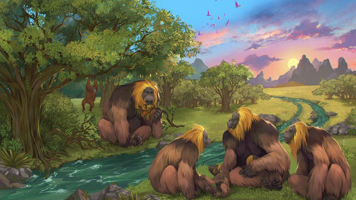 This illustration provided by researchers depicts Gigantopithecus blacki in a forest in the Guangxi region of southern China.