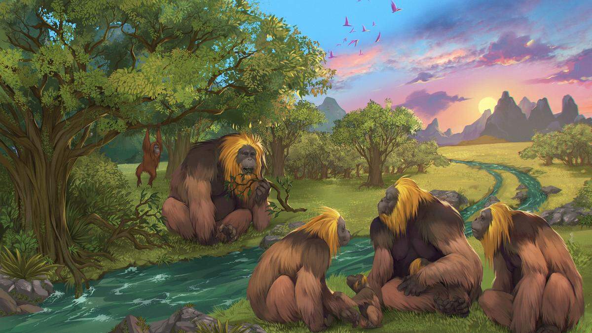 This illustration provided by researchers depicts Gigantopithecus blacki in a forest in the Guangxi region of southern China.