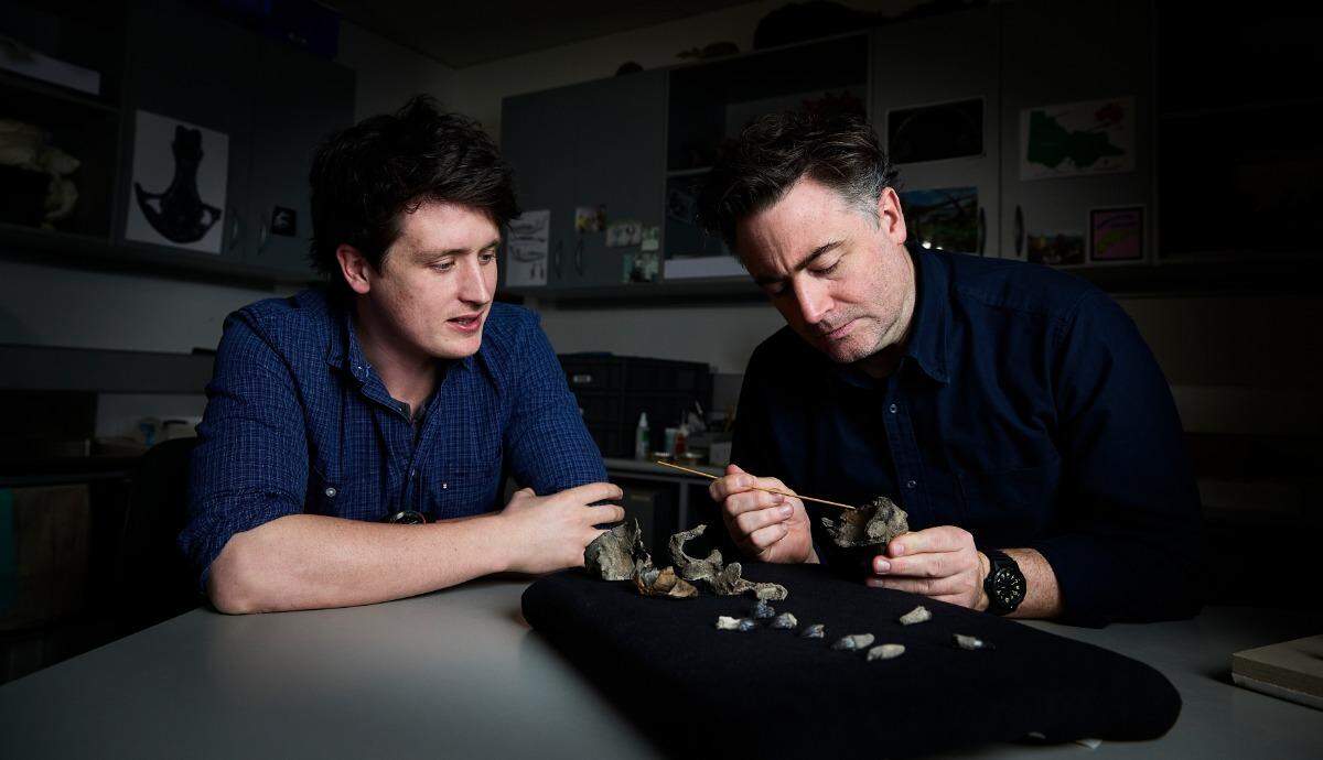 The ancient fossils were discovered along the coast of Australia in 2019.