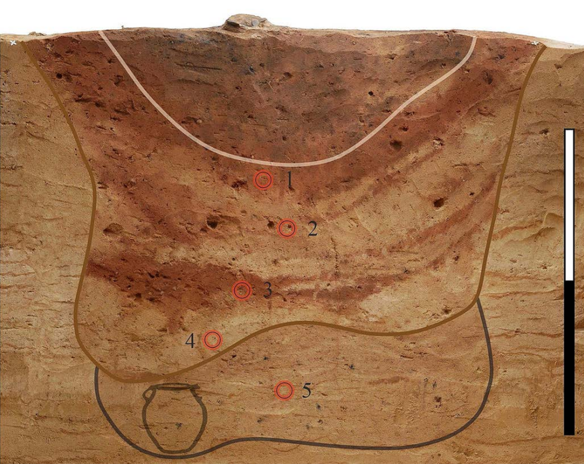 A cross section of the burial pit with a drawing of the urn at the bottom left