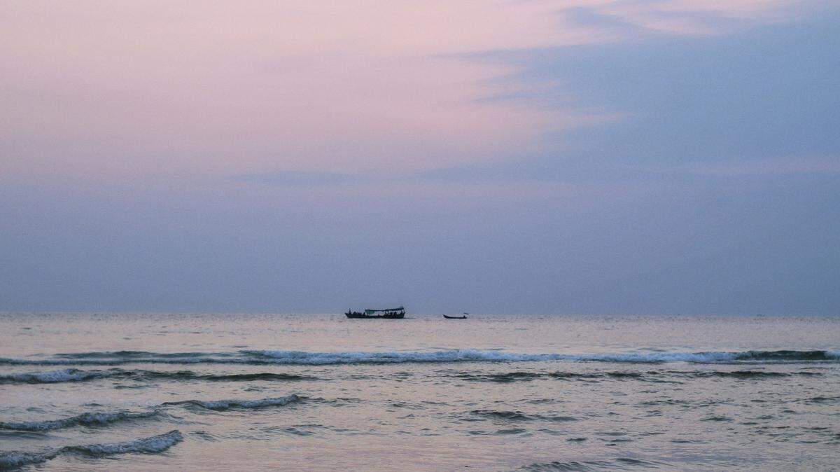 A finless dolphin was caught off the coast of Cambodia, marking the country’s first-ever sighting, officials said.