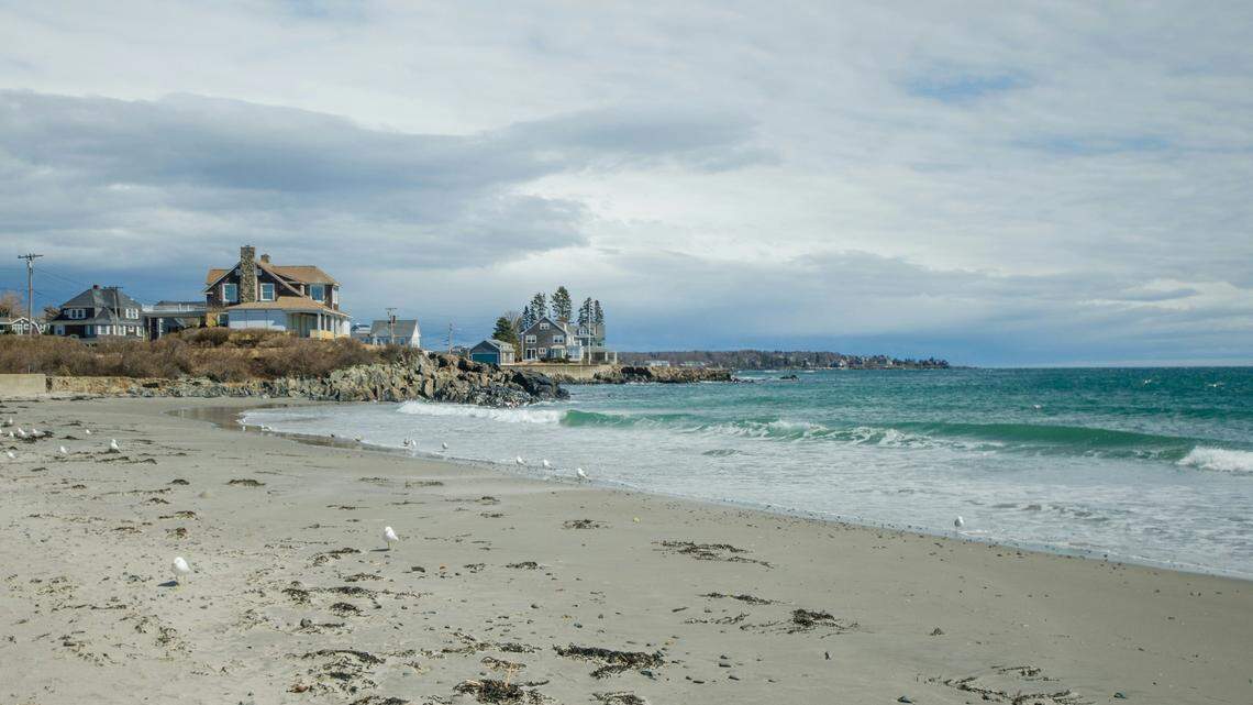 A well-known humpback whale was found dead in July. Her body has since washed ashore in Kennebunk, Maine.