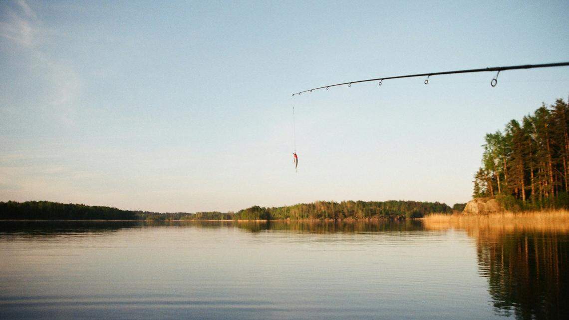 A new freshwater record for a spotted sunfish is on the books in Georgia. The June 15 catch weighed 12 ounces, state officials said.
