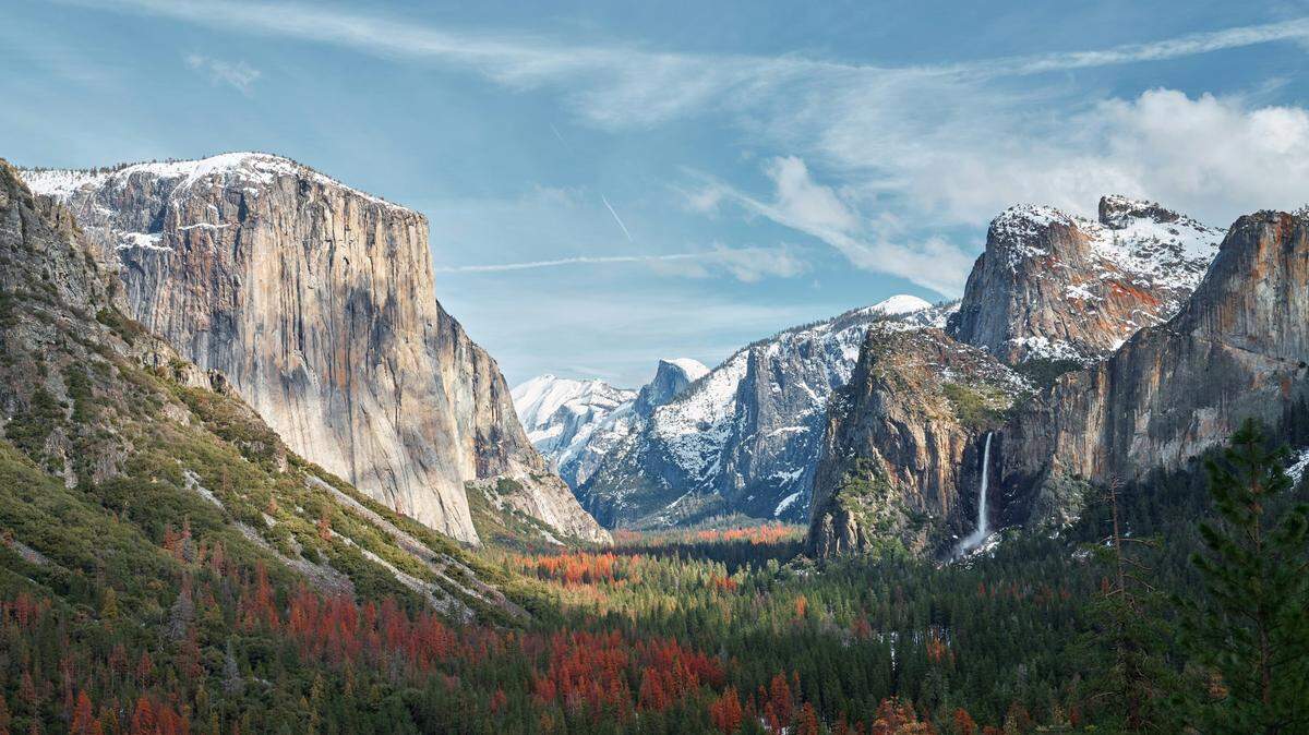 Several newly hired National Park Service employees said they were heartbroken after they were fired from their dream jobs.