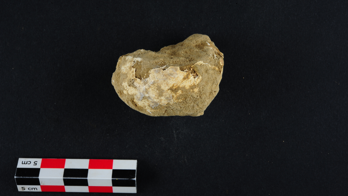 The remains of a hard-boiled egg were found inside a medieval grave in Germany in 2014, officials said. Archaeologists are still mystified by the discovery.