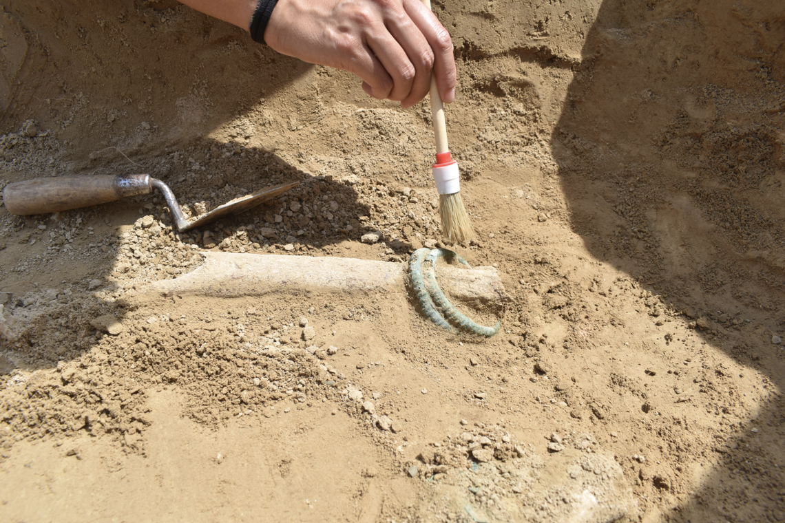 Bronze leg rings found in a female burial