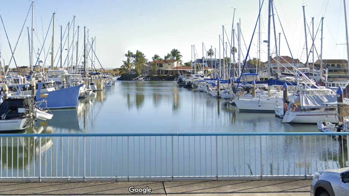 A young seal was discovered in the canals of Newport, Australia, with a “severe” shark bite wound. Now, after six weeks of rehabilitation, she’s been released back into the wild, video shows.