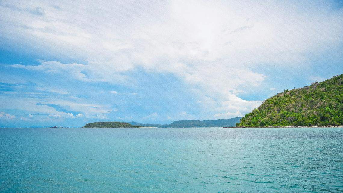 A pair of Bryde’s whales were recently spotted off the coast of Thailand, officials said. The marine mammals are rarely seen in the area.