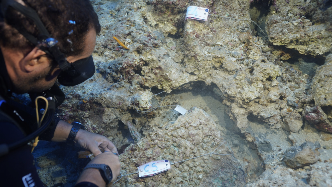 A 3,600-year-old bronze dagger was recently discovered by divers off the coast of Turkey, officials said.