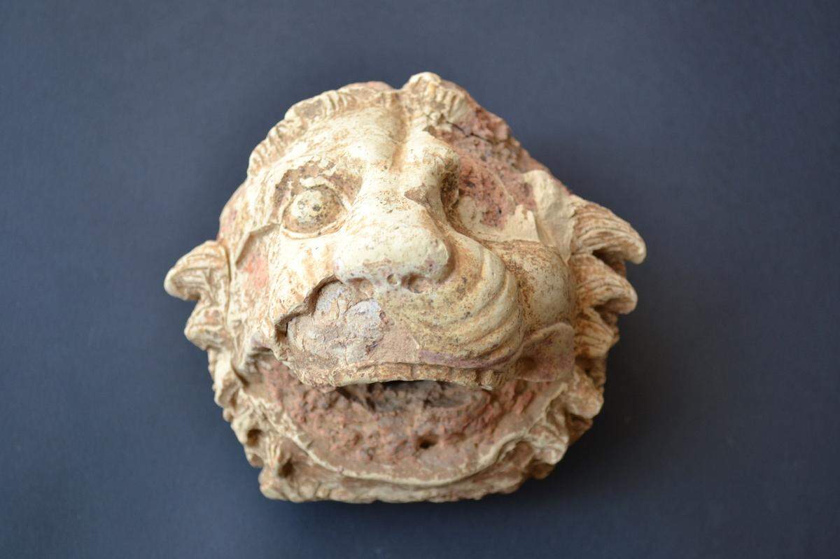 Head of a marble lion