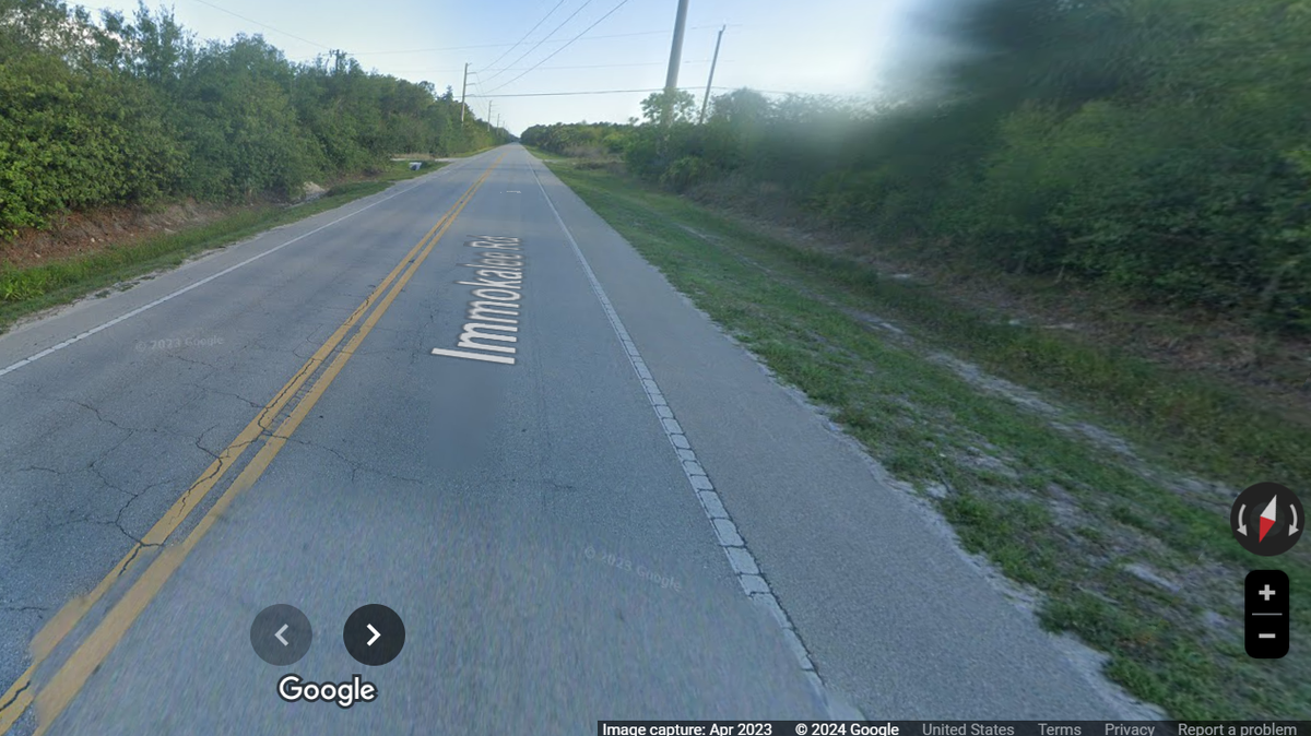 A Florida panther was found fatally struck by a vehicle in Collier County on Oct. 27, according to the FWC’s Panther Pulse.