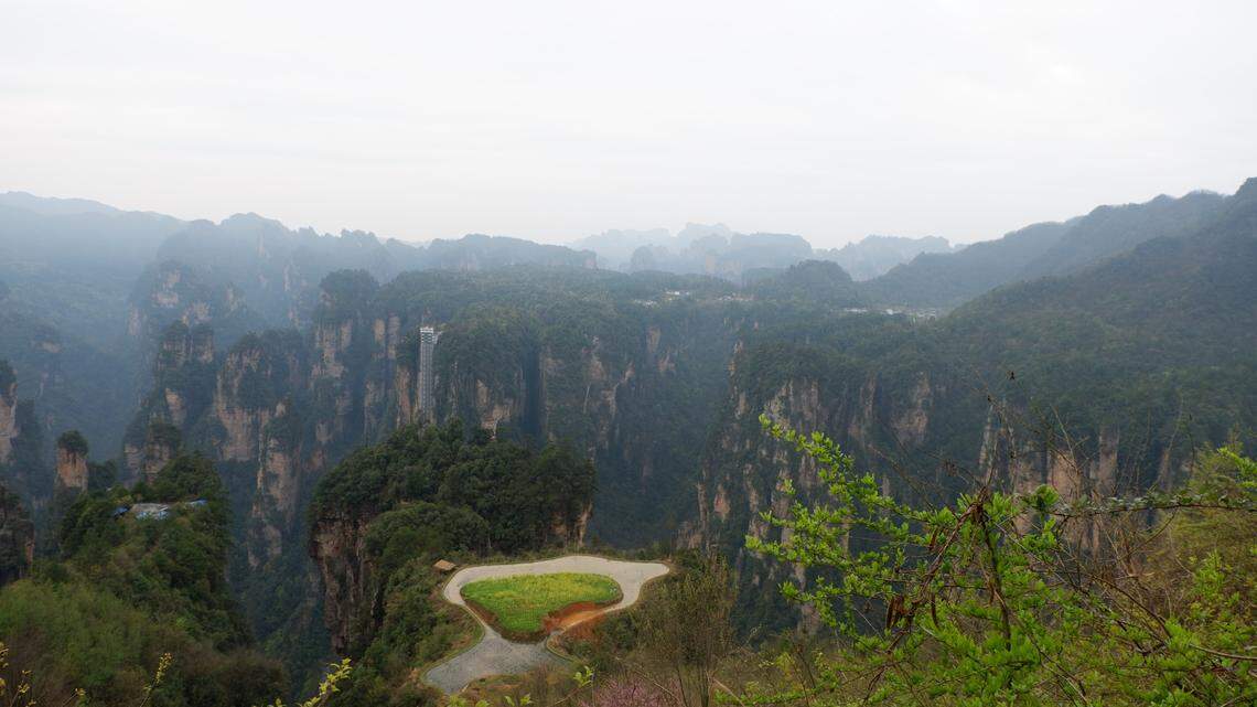 A new species of horned frog was discovered in China after researchers heard the animals calling from a roadside ditch, according to a new study.