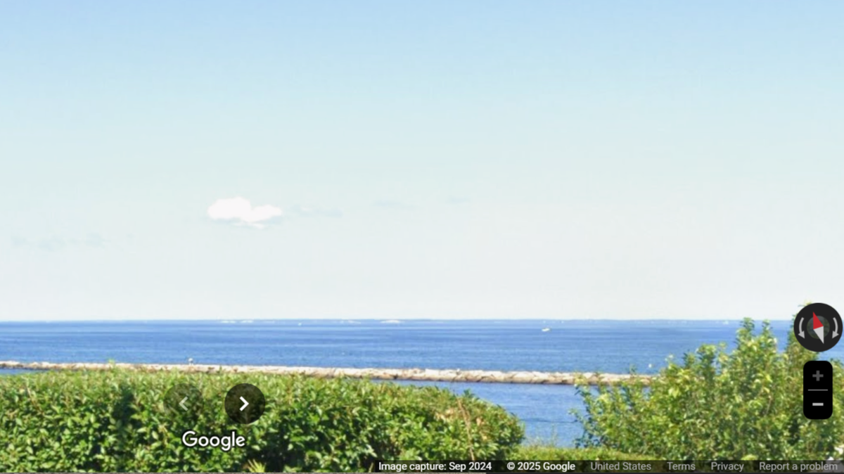 An entangled sea creature was rescued in Cape Cod Bay off the Massachusetts coast.