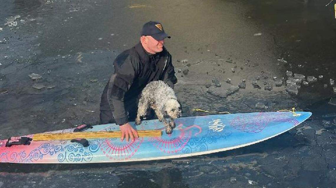 New Jersey State Police trooper Michael Betz is seen rescuing a dog from a lake Feb. 27. The animal had gotten stuck on the ice.