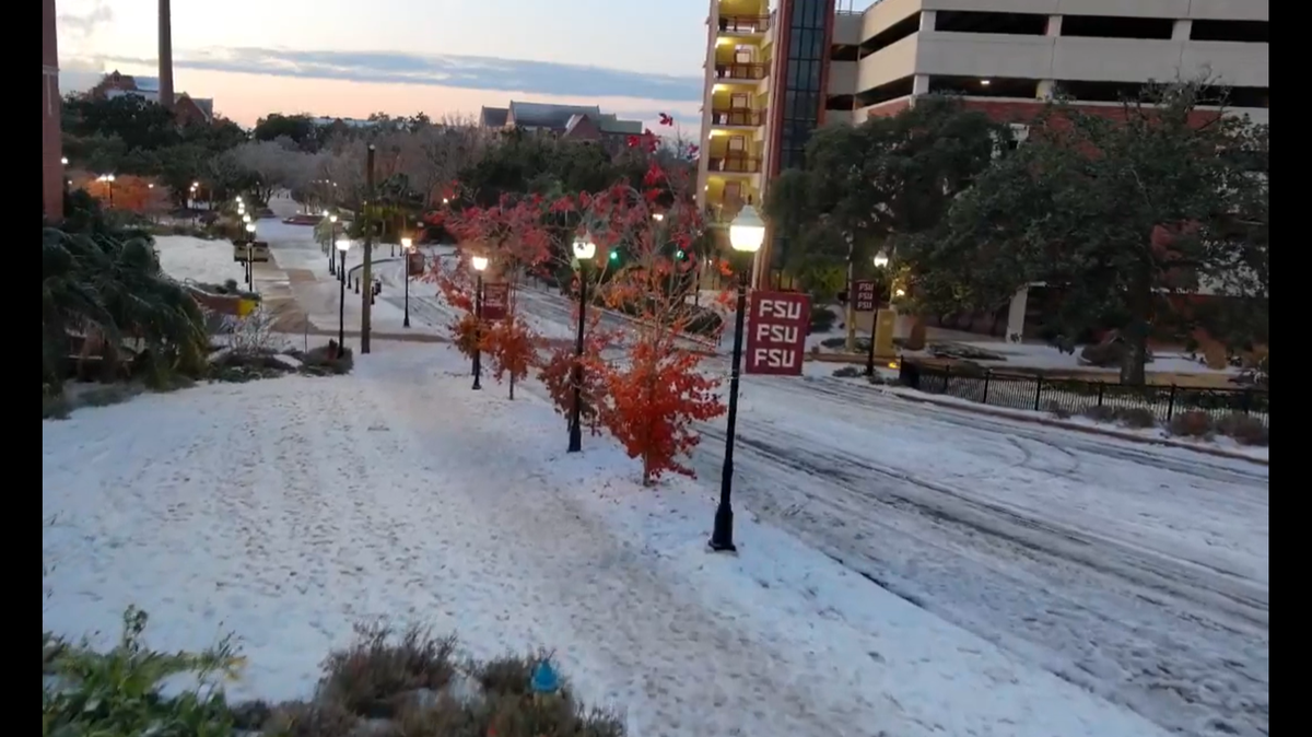 Snow fell across north Florida and parts of the Southeast during an unusual and “prolific” storm, meteorologists said.