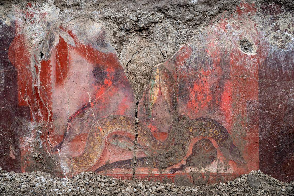 Depictions of fish and other marine life