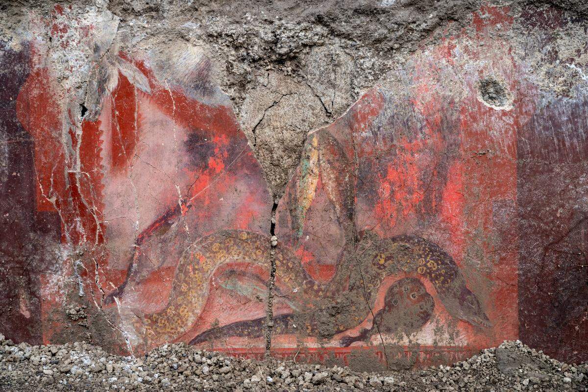 Depictions of fish and other marine life