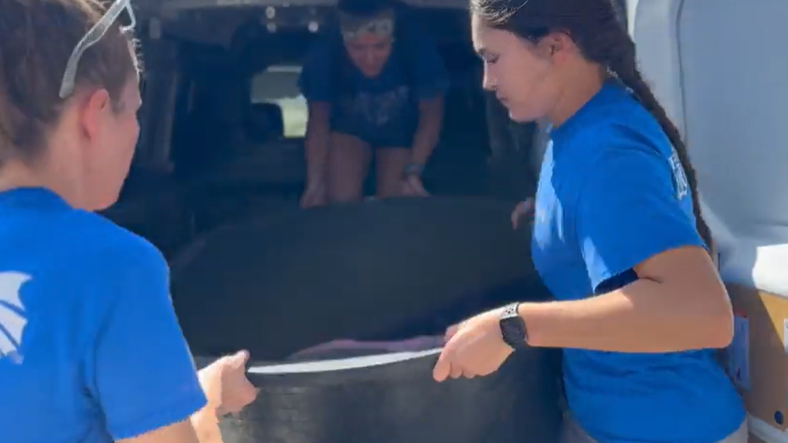 Rescuers with the Florida Aquarium transported a stranded green sea turtle found in rural Florida for rehabilitation.