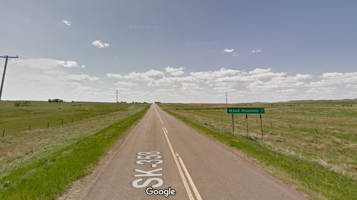 A rare species of bee was discovered near Wood Mountain, Canada, after it had gone undetected for 65 years, officials said.