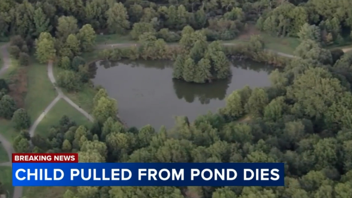 A 3-year-old boy died after being pulled from a pond at a Pennsylvania park, authorities say.