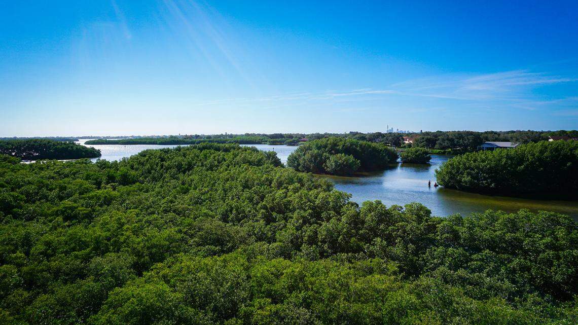 Man forced to dress as dead girlfriend while dumping her body, Florida cops say