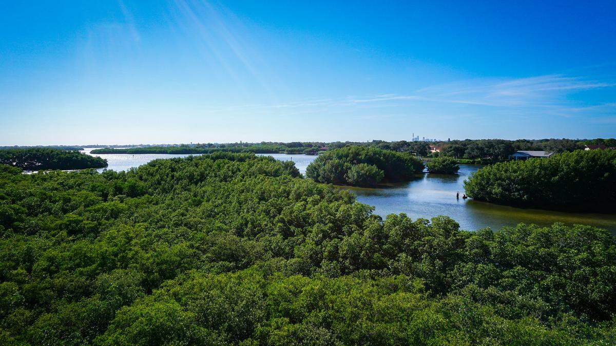 A woman’s body was found in Weedon Island Preserve in the Tampa Bay area, and now her cousin and her cousin’s boyfriend are facing charges.