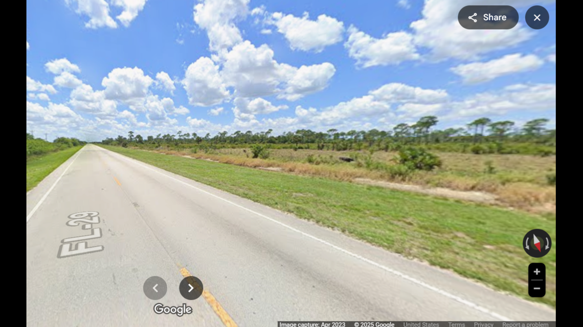 A male Florida panther estimated to be 4 to 5 years old was killed by a vehicle in Collier County, according to wildlife officials.