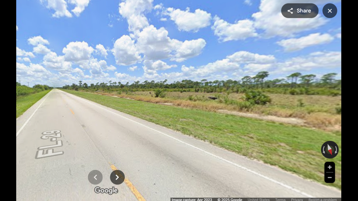 A male Florida panther estimated to be 4 to 5 years old was killed by a vehicle in Collier County, according to wildlife officials.