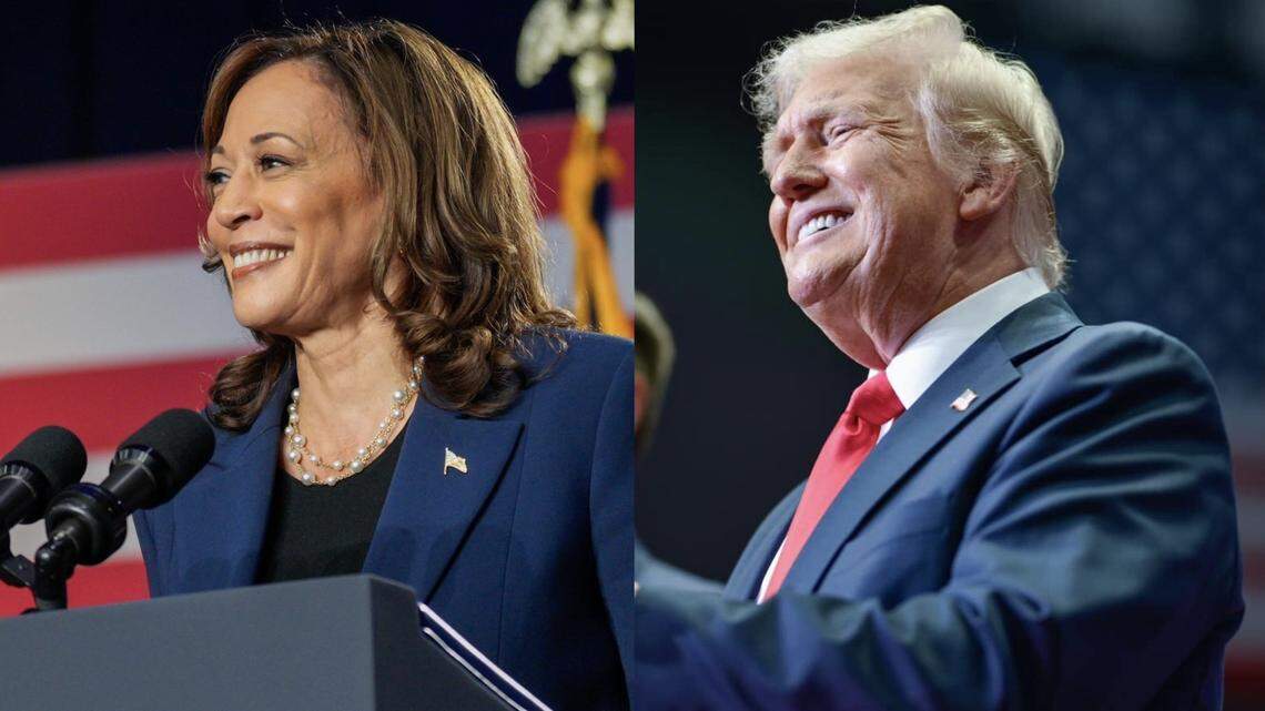 A slight majority of Americans believe former President Donald Trump lacks the temperament to be president, while a plurality believe Vice President Kamala Harris possesses the necessary temperament, according to a new poll.