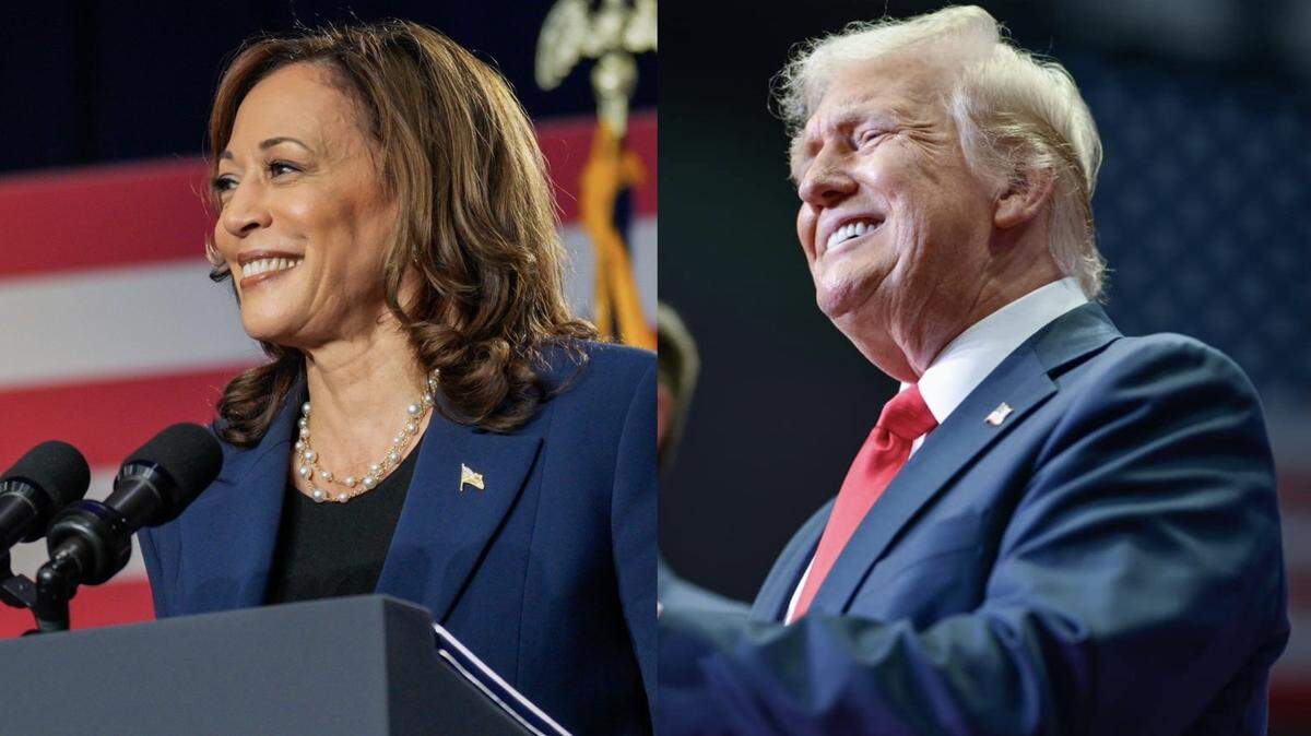 A slight majority of Americans believe former President Donald Trump lacks the temperament to be president, while a plurality believe Vice President Kamala Harris possesses the necessary temperament, according to a new poll.