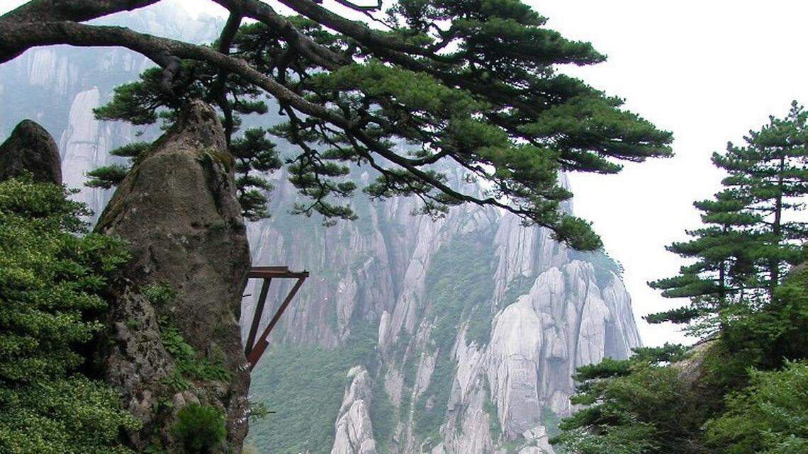 A new species of shrew mole was discovered on Mount Huangshan in China, researchers said.