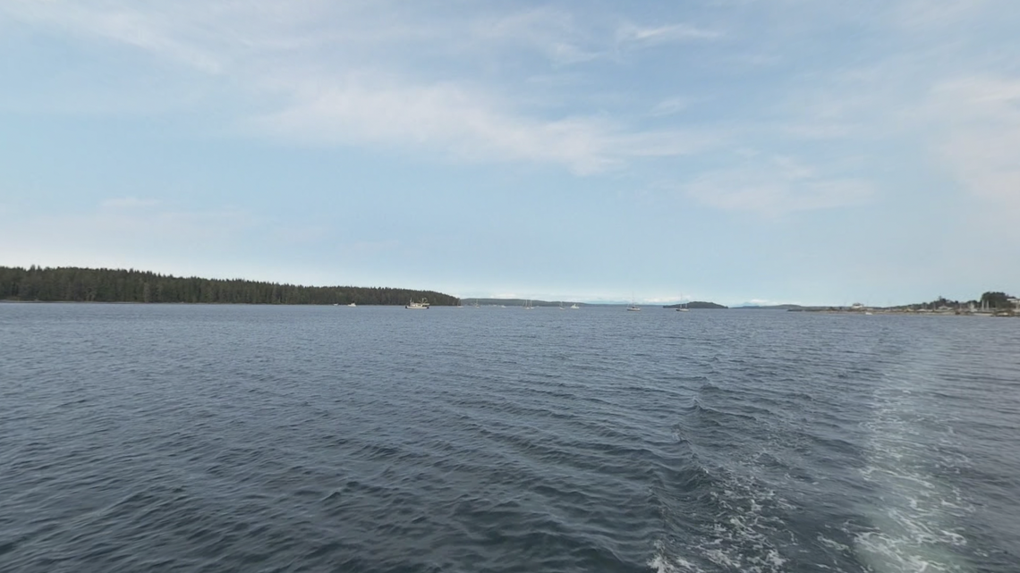 A “rarely seen” Bryde’s whale was recently found dead on the coast of Canada, photos show. The finding was described as deeply disturbing.