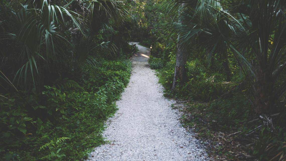 A Florida panther was captured on camera with her two kittens in a southwest part of the state.
