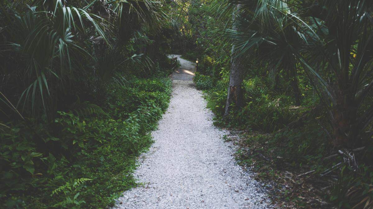 A Florida panther was captured on camera with her two kittens in a southwest part of the state.