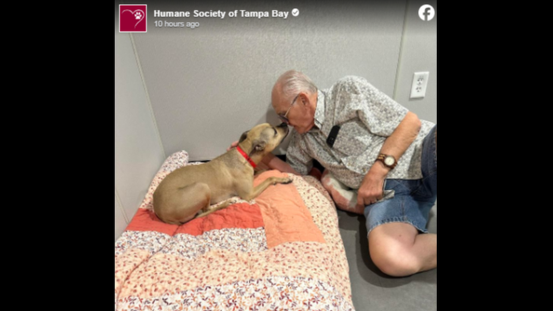 The couple gave Lele what she needed: “time, patience and stability,” the Florida shelter said.