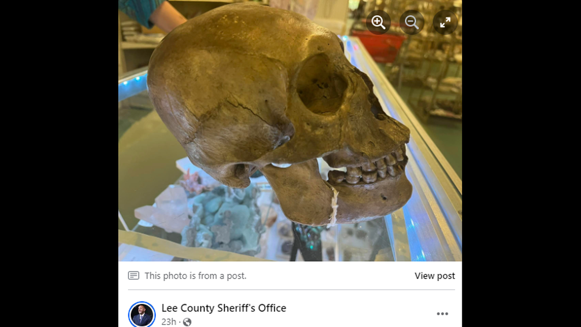 A skull found in a thrift store’s Halloween section turned out to be real, according to Florida officials.