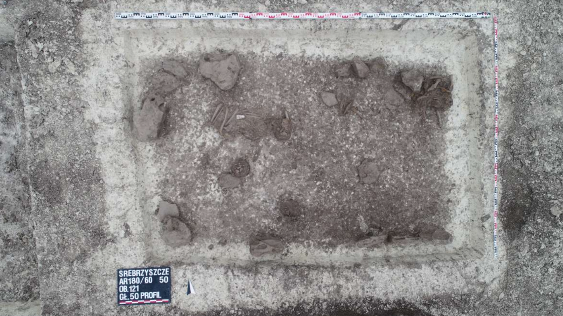 One of the Neolithic pits discovered at the site