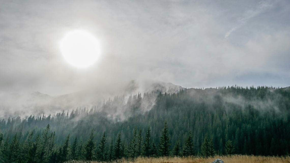 An ancient “princely grave” discovered in Poland sheds light on the elite society during the Roman era, according to a new study.