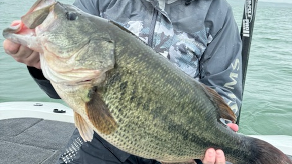 A 12-pound, 6-ounce fish was caught July 11 in New York’s Cayuga Lake. It set a new state record, officials said.