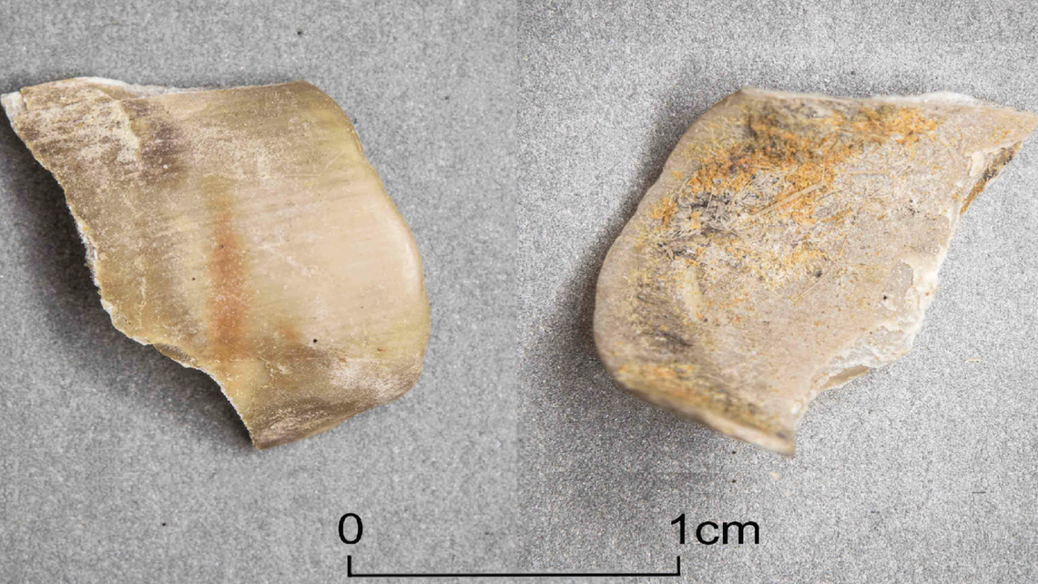A human nail, likely from a big toe or thumb, was recently recovered from a bog in the Czech Republic. It may be evidence of an ancient ritual sacrifice, researchers said.
