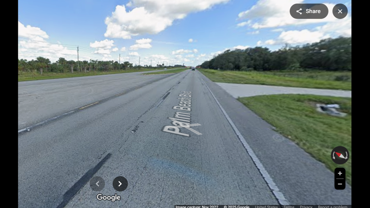 A juvenile male Florida panther was fatally struck on a road just south of the Caloosahatchee River in southwest Florida.