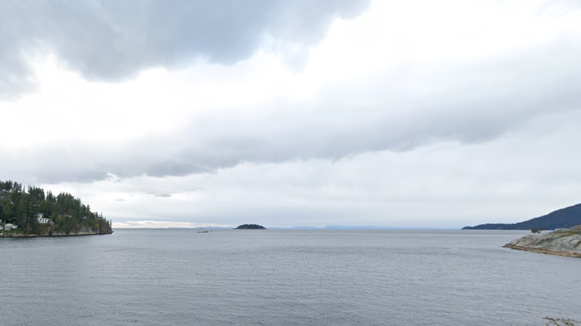 Two kayakers in Canada had the “most amazing encounter” when a pod of orcas suddenly surfaced alongside them, video shows.