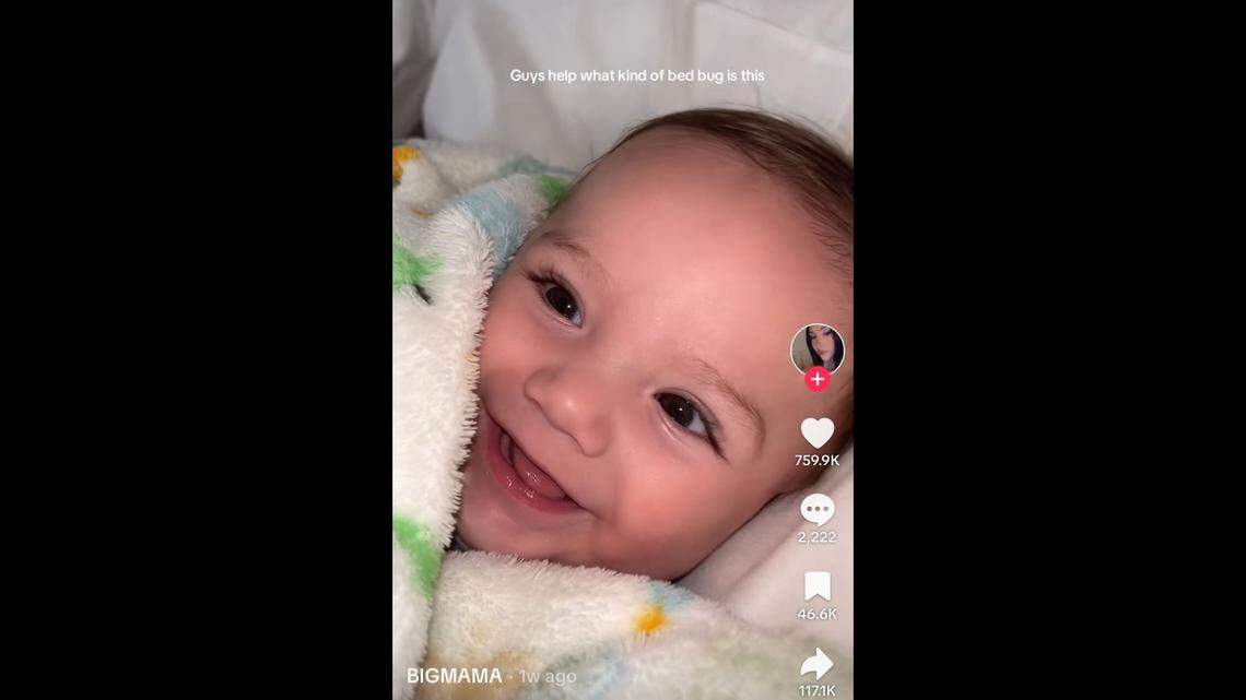 A new “bed bug” trend is going viral on TikTok.