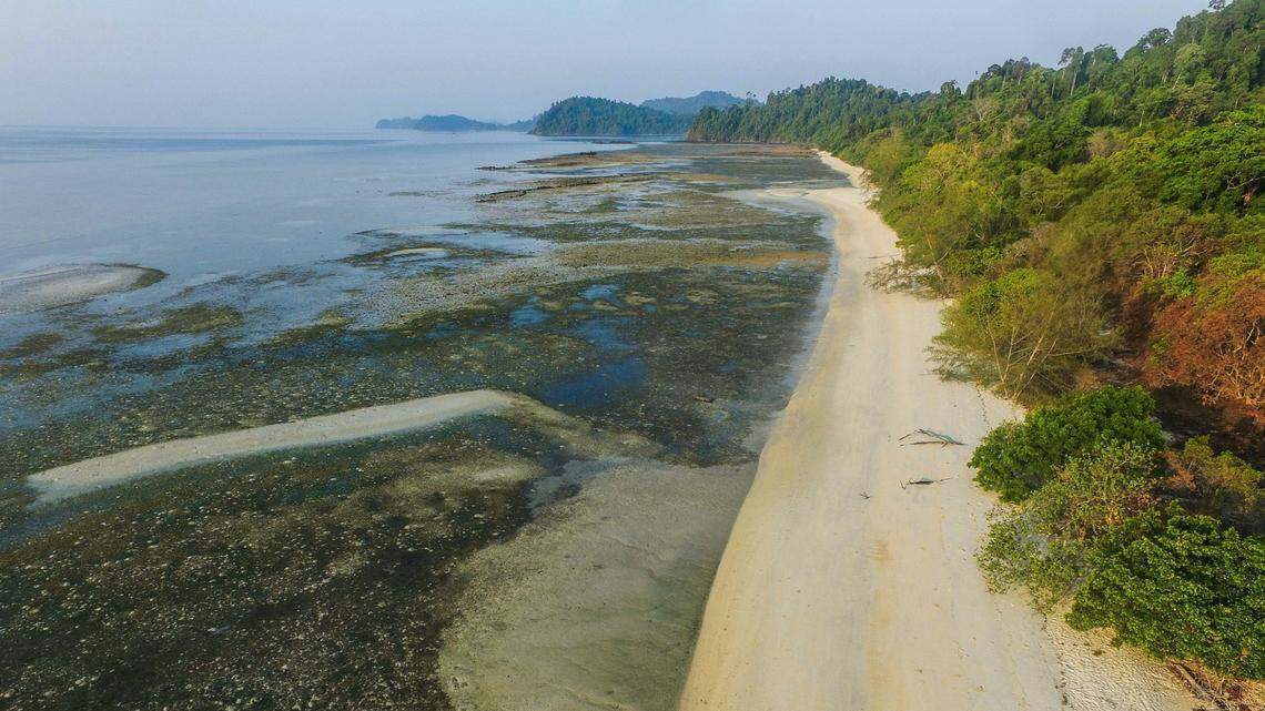 A pair of extremely rare dolphins were recently rescued near the coast of Myanmar, according to a local non-profit.